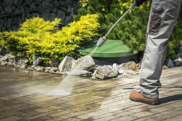 Best Pre-Holiday Cleaning  in Greenville, FL