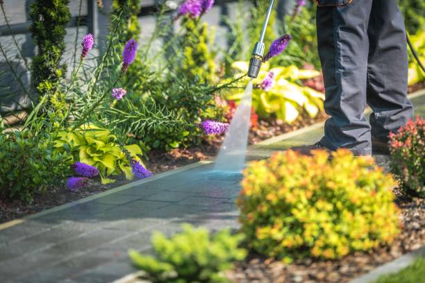 Professional Pressure Washing Services in Greenville, FL